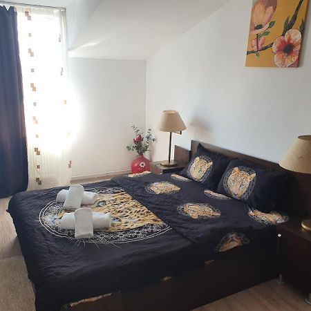 Casa Lions Hotel ทิมิชัวรา ภายนอก รูปภาพ