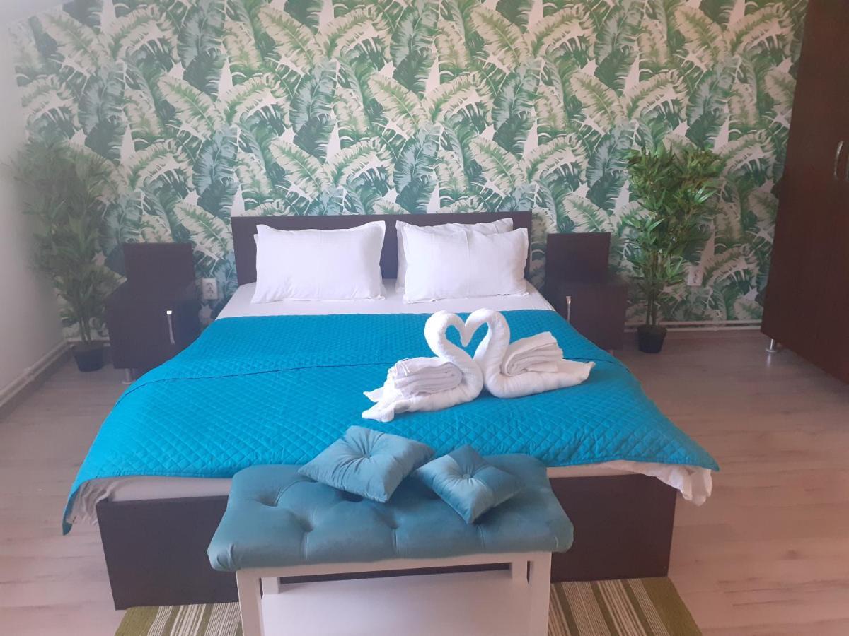 Casa Lions Hotel ทิมิชัวรา ภายนอก รูปภาพ