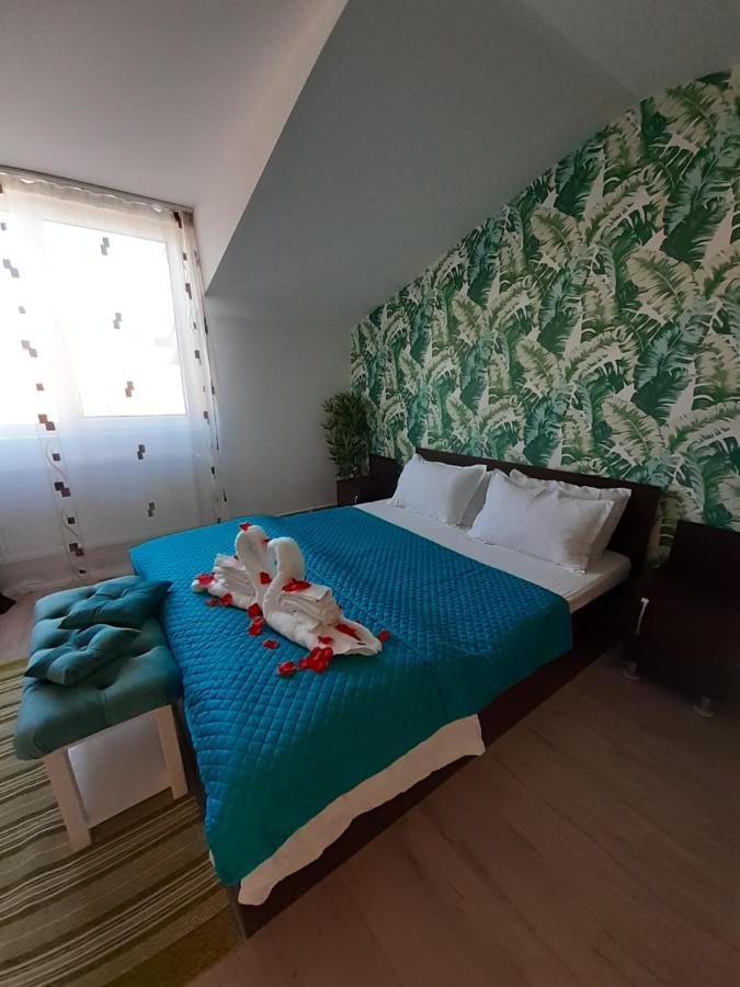 Casa Lions Hotel ทิมิชัวรา ภายนอก รูปภาพ