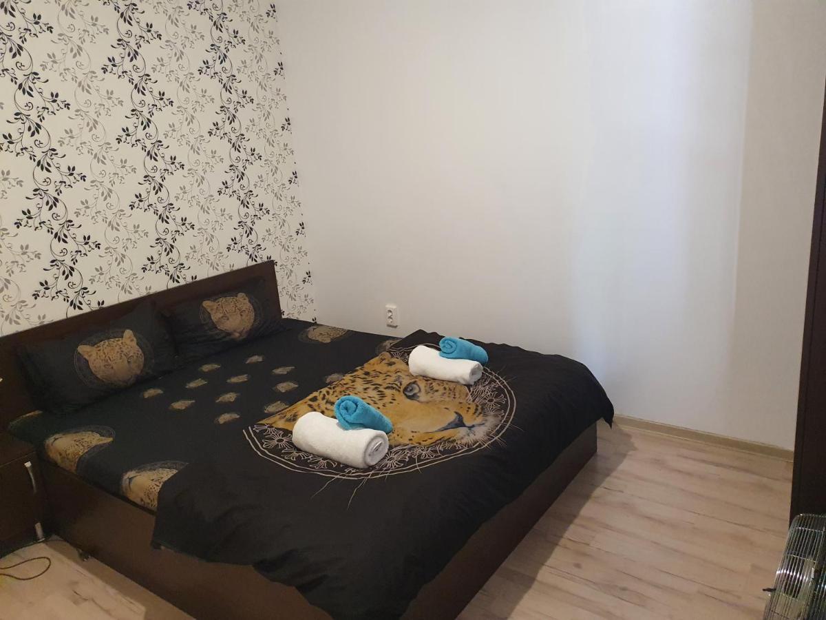 Casa Lions Hotel ทิมิชัวรา ภายนอก รูปภาพ