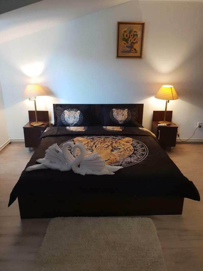 Casa Lions Hotel ทิมิชัวรา ภายนอก รูปภาพ